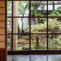days_in_japan-07