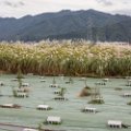 days_in_japan-2461