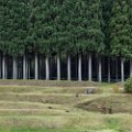 days_in_japan-2466