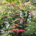 days_in_japan-2491
