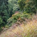 days_in_japan-2537