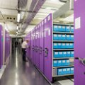 BNF Département des jeux vidéos